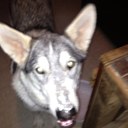 mike ooten - @coachmike2768 - Twitter