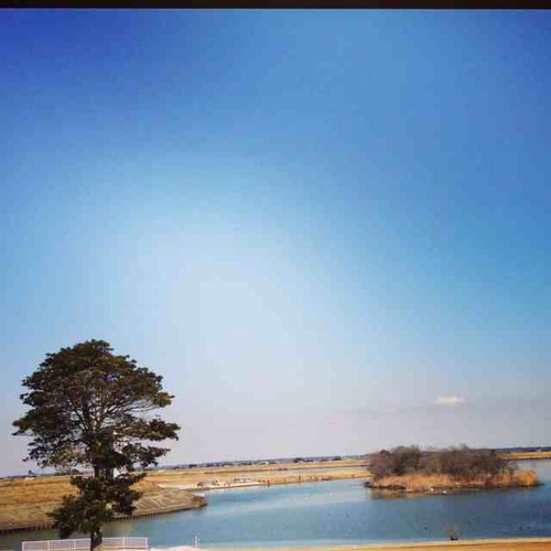 ko_ka_so661029's profile picture. 自宅待機。