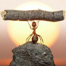 ICU clinical pharmacist...
The biggest obstacle to change is justification