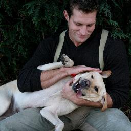 stpaulpet's profile picture. 