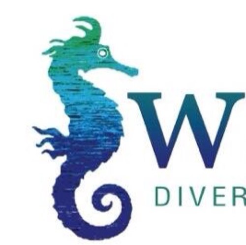 An exciting new project with a difference, bringing together divers, conservationists and natures most enigmatic species - the seahorse