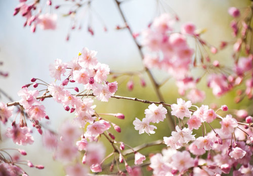 h0pe_faith_l0ve's profile picture. far journeys | music | books and ELLE | movies | tattoos