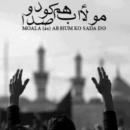 SHIA MUSLIMS - A member of the branch of Islam that regards Ali(a.s) as the legitimate successor to Mohammed(s.a.w.s) and rejects the first three caliphs.
