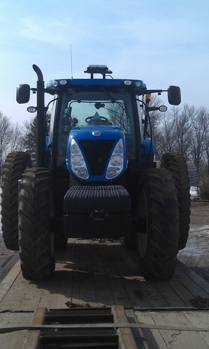 sellsl1's profile picture. 