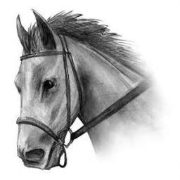 National3bets's profile picture. Worlds Greatest Horserace, 2014 Runners with Colours & Preview, History, Records, Course Guide, Past Winners, Facts, Fun & Trivia plus £2000 FREE BETS