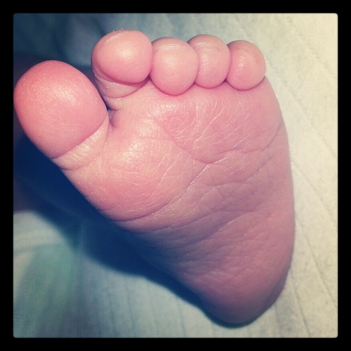 stef_arellano's profile picture. 