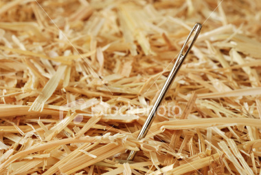 findtheneedle's profile picture. Find the best deals around!