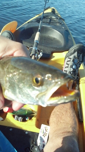 MKempany's profile picture. 