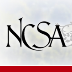 An interdisciplinary association for the study of nineteenth-century world cultures