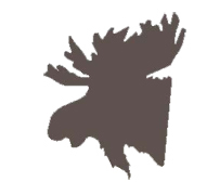 MooseCntryGear's profile picture. Provider of outdoor gear, camping and emergency preparedness. Custom tents and sleeping bags. http://t.co/SKqGBwnPlW