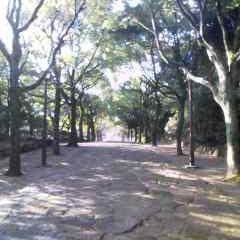 はじめましてかむかむです！
今回初めてtwitterに登録しました！どんどん友達を増やしていきたいと思うので気軽にフォローお願いします！（´・ω・）ノ