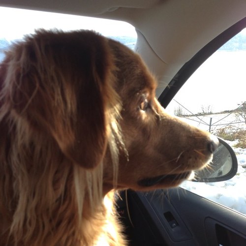 Laoburo's profile picture. Østlending i Romsdalen. Språklektor som er glad i naturen.