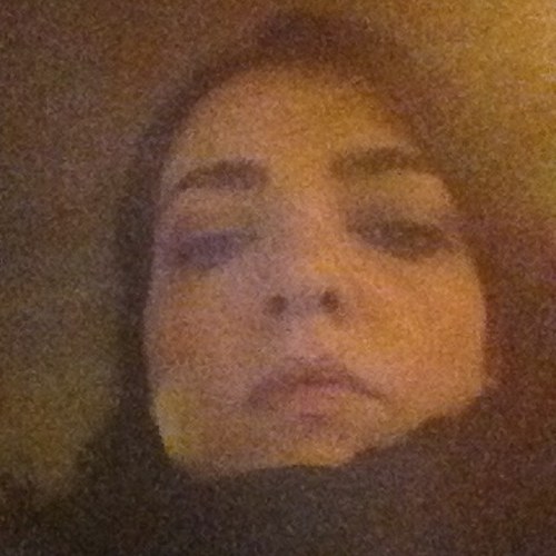 DadaIsola's profile picture. 