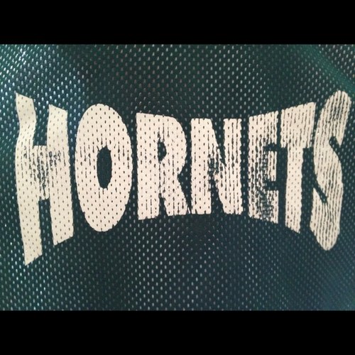My son plays in the Hills Hornets Reps team, U16 M Div 1.