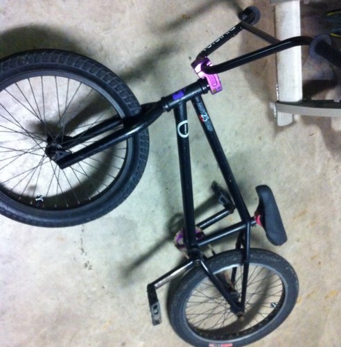 dill_will1999's profile picture. E8TBTNXH