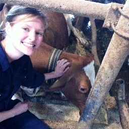 kcejay's profile picture. Animal Care Specialist & PhD student studying lameness in dairy cattle. Views are my own.