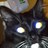 KlausEchols's profile image