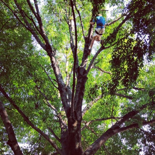 sergiotellezg's profile picture. 