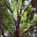 Sergio Téllez - @sergiotellezg - Twitter