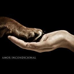 Anti kuka. Soy de las que dicen gracias y perdón. Animalista. Harta de los que destrozan este país