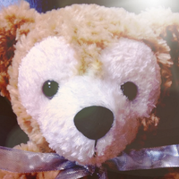 えこ (@ecolish) 's Twitter Profile