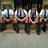 Waldo15586's profile image