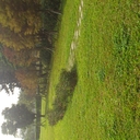 Amelie - @Amelie_Yang - Twitter