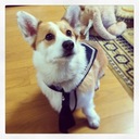 Tomo (@0217_crown) Twitter
