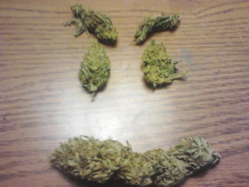 WeirdestGuyEver's profile picture. I say weird shit..