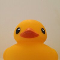 Tomy (@tomo29) 's Twitter Profile Photo
