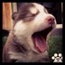 hihi (@esusnarok) Twitter profile photo