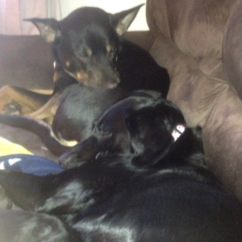 Lomaxsoulys's profile picture. 