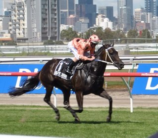 dadbrook's profile picture. 