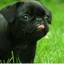 Jason Noggle - @baller_noggle - Twitter