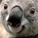 Cory Sanders - @corysanders1234 - Twitter