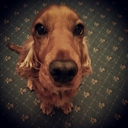 Megan Cotterill - @CotterillMegan - Twitter