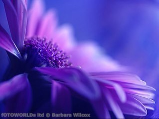 Amal_Alhashmi's profile picture. أمل عبدالله الهاشمي .. دكتوراه في الإرشاد النفسي .. محاضرة .. مدربة معتمده .. مرشدة اجتماعية نفسية .. ما أكتبه يعبر عن رأيي الخاص
Instgram: Dr_Amal_Alhashmi