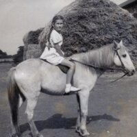 Louisa Turner (@louisaturner) 's Twitter Profile