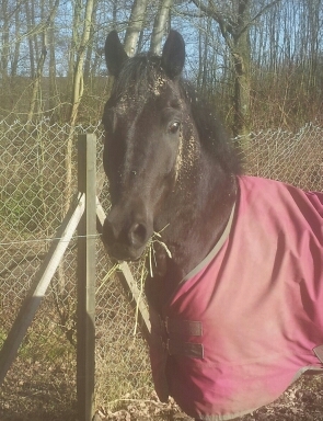 AndreaB68's profile picture. 