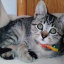 Marta Ferrari - @MF_MartaFerrari - Twitter