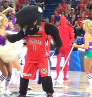 I'm here to make you talk about the Perth Wildcats & the NBL. 

I would say opinions are my own, but Cats can't talk! 

#NBL #RedArmy