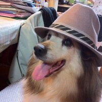 エスタ (@ps3_esuta) 's Twitter Profile
