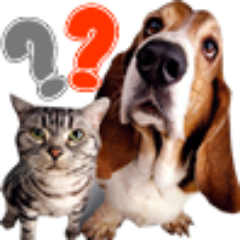 evcilsoru's profile picture. 