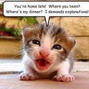 breanna edwards - @breanna1091 - Twitter