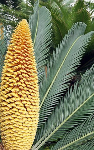 sbs918's profile picture. 재테크를 위하여! 관련 정보를...