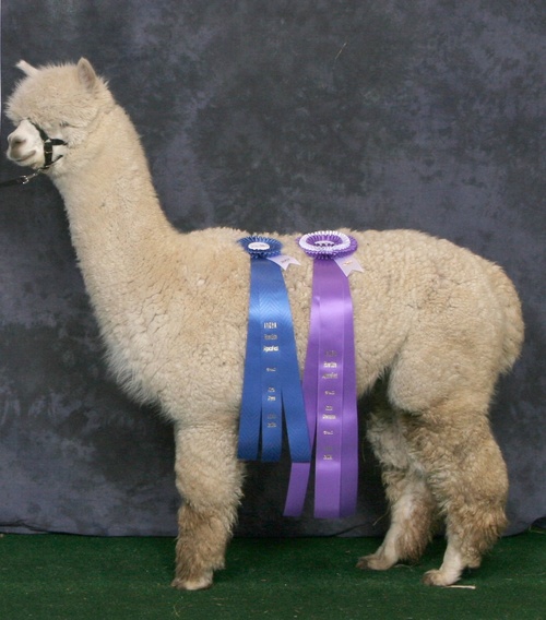 DonnaPearre's profile picture. 