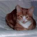 DEA (Della) PORTER - @DIZZYDEA - Twitter