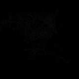 Todai_Motocracy's profile picture. ショージにメアリィ