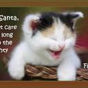 Cinder Ella - @Cinder_FN_Ella - Twitter