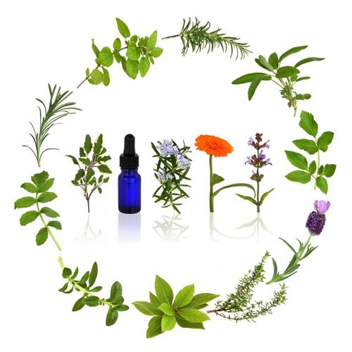 Loves the natural healing power of essential oils http://t.co/jliSIioBES